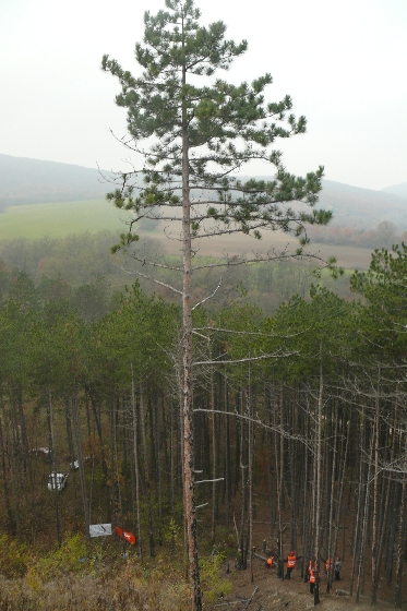 Szénások